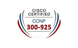 DEVSP: Implementing Service Provider Automation Solutions